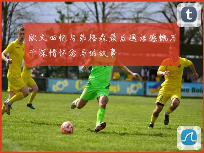 欧文回忆与弗格森最后通话感慨万千深情怀念马的故事