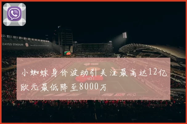 小蜘蛛身价波动引关注最高达12亿欧元最低降至8000万
